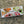 Gift Pack - Illustrated  6 cans mixed pack