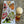 Christmas Gift Set — 6 Cans + 2 Branded Glasses | Nitro Cold Brew Tea